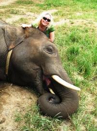 Malin med elefant i Thailand